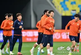 爱游戏官网-山东泰山对浙江队直播