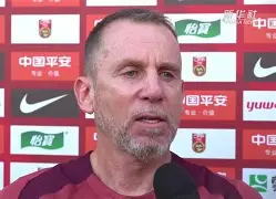 AYXGAME-武汉三镇引援最新消息